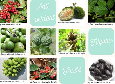 LIST: 9 Philippine Fruits With Disease.